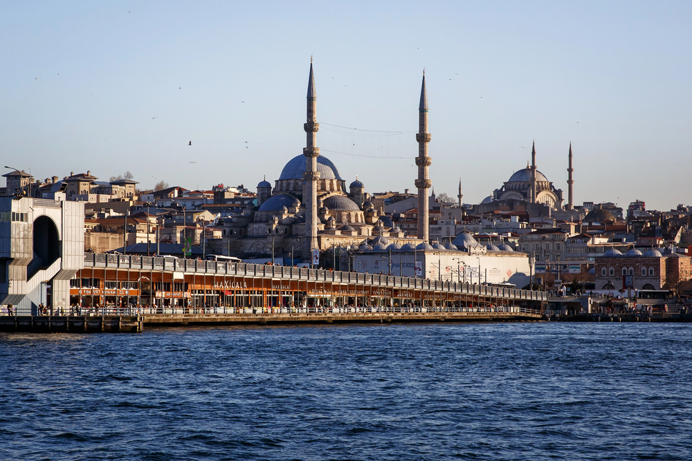 Galata hid